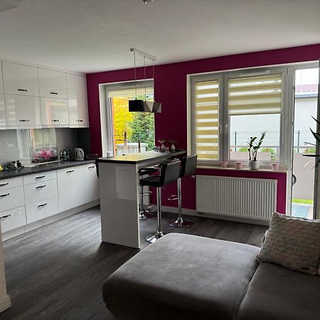 Family Apartament Zamość Kültér fotó